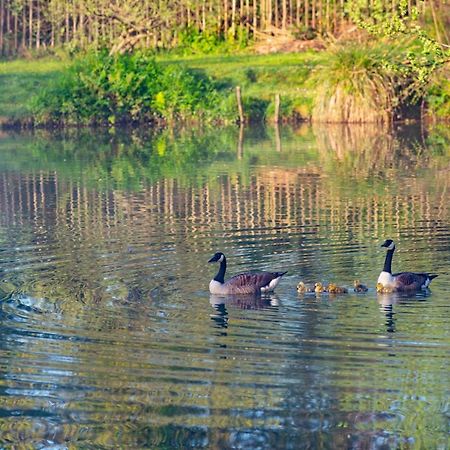Beautiful Willow Lodge 67-4-6 Persons-Private Hot Tub-Pet Friendly-Tranquil Holiday Away From It All Yet Not Far To St Austell-The Holiday Home Has Two Bedrooms, Living & Dining Area, Equipped Kitchen -Decking-Al Fresco Dining-Fishing Lakes-Pet Frien Grampound Extérieur photo