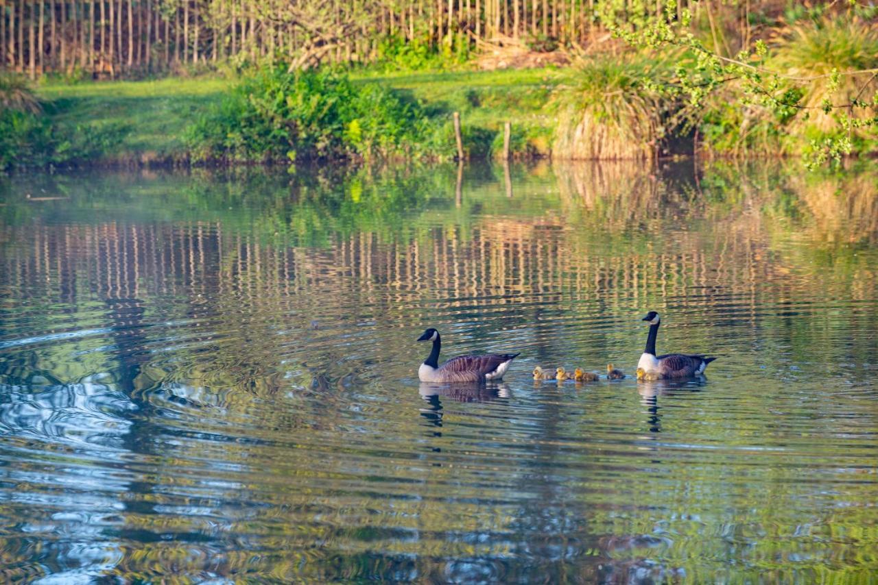 Beautiful Willow Lodge 67-4-6 Persons-Private Hot Tub-Pet Friendly-Tranquil Holiday Away From It All Yet Not Far To St Austell-The Holiday Home Has Two Bedrooms, Living & Dining Area, Equipped Kitchen -Decking-Al Fresco Dining-Fishing Lakes-Pet Frien Grampound Extérieur photo